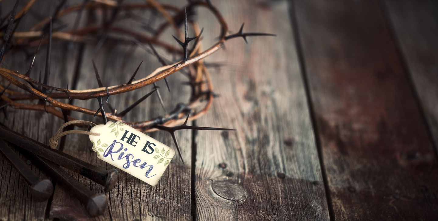Jesus is Risen! Hallelujah! So why do we so often look for the living among the dead?  