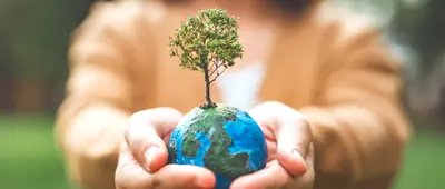 Creation Care as Faithful Worship