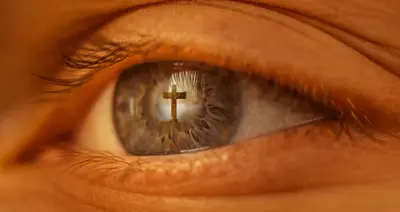 November: Seeing and Being Seen 