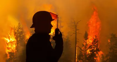 What Australia’s Burning Summer Is Telling Us