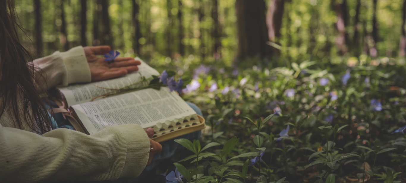 Lectio Divinia Or How Unhurried Attention Can Shape Our Faith