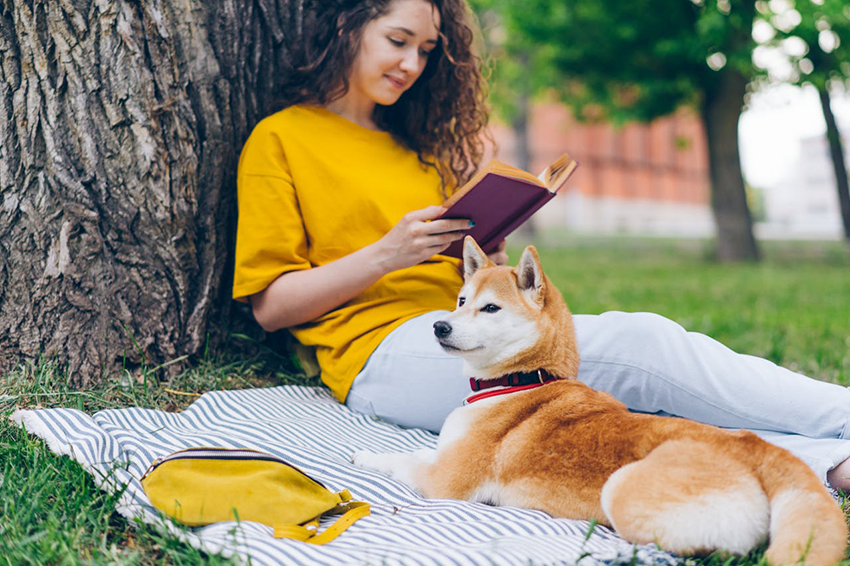 US Millennials and Gen Z Drive Surge in Bible Engagement, New Report Finds